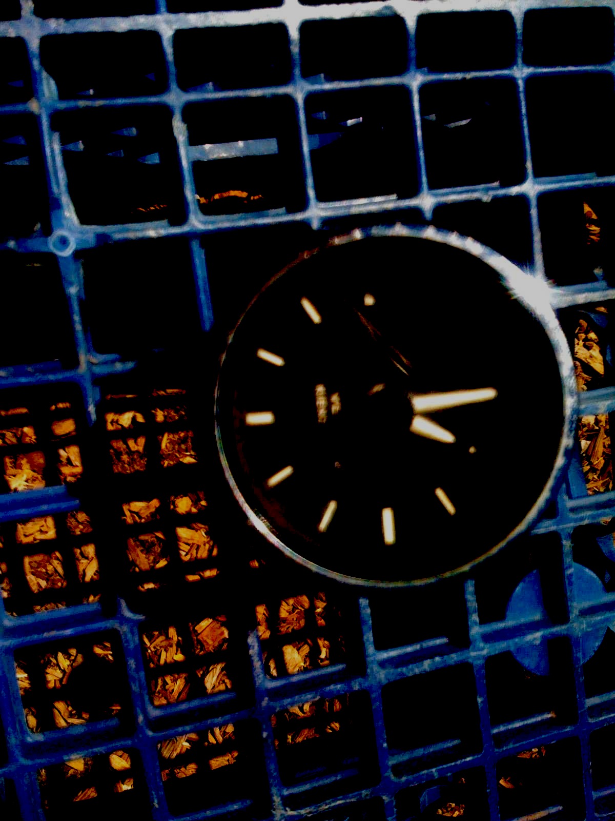clock in a cage